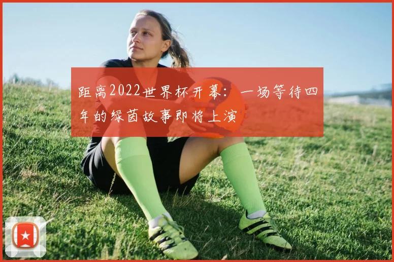 距离2022世界杯开幕：一场等待四年的绿茵故事即将上演