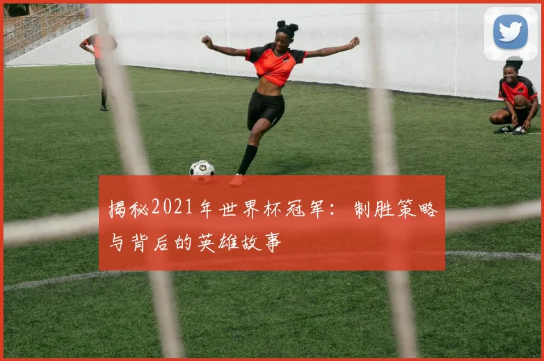 揭秘2021年世界杯冠军:制胜策略与背后的英雄故事