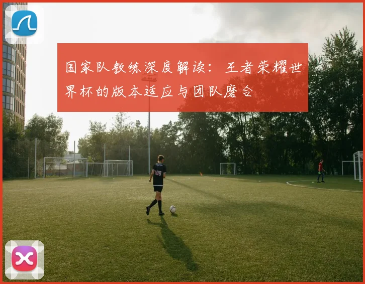 国家队教练深度解读:王者荣耀世界杯的版本适应与团队磨合