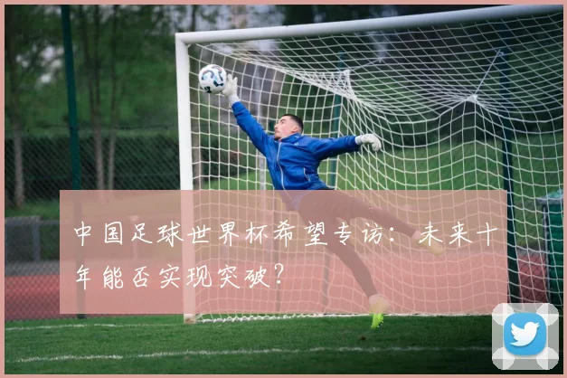 中国足球世界杯希望专访：未来十年能否实现突破？
