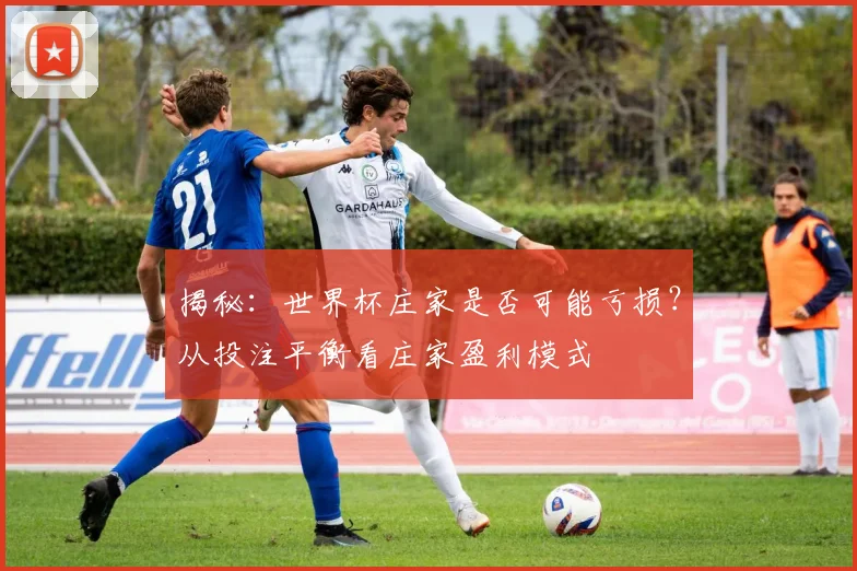揭秘：世界杯庄家是否可能亏损？从投注平衡看庄家盈利模式