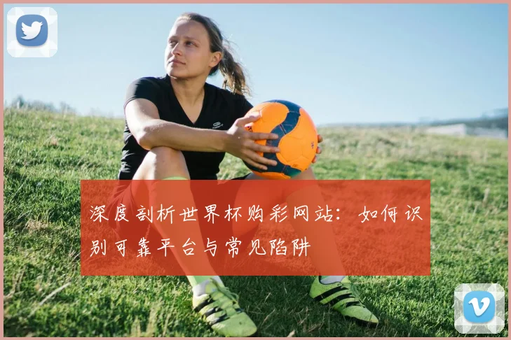 深度剖析世界杯购彩网站：如何识别可靠平台与常见陷阱